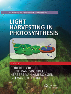 cover image of Light Harvesting in Photosynthesis